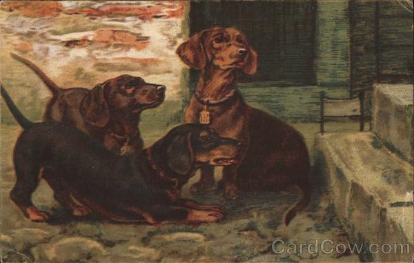 Three Dachshunds