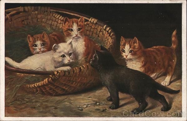 Basket of Kittens Cats