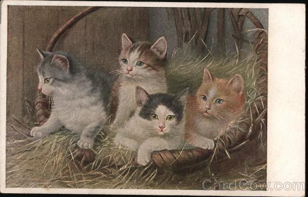 Four Kittens in a Brown Wicker Basket. Cats