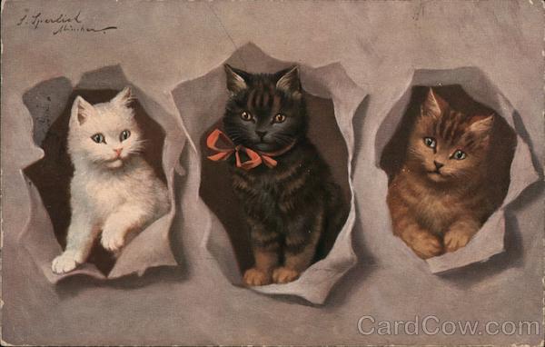 Three Kittens in Paper Cats