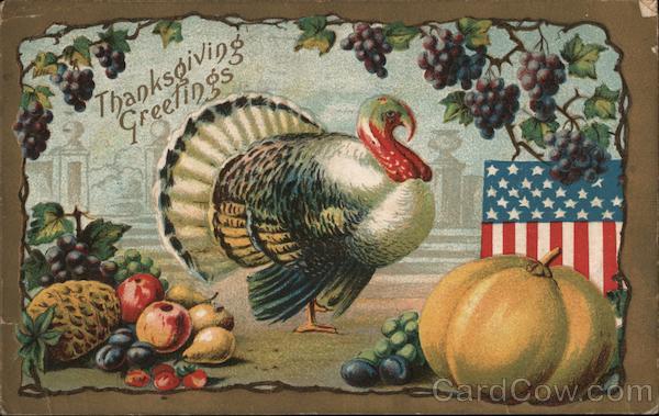 Thanksgiving Greetings Turkeys