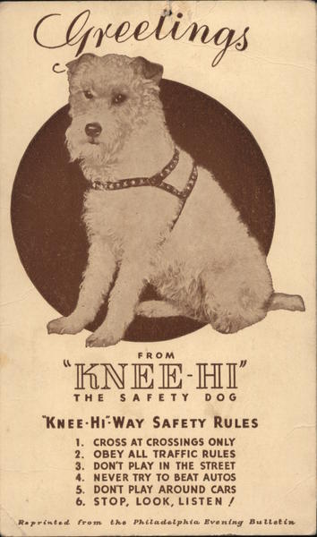 Greetings From Knee-Hi The Safety Dog Dogs