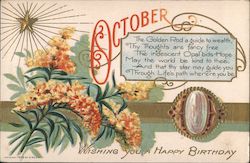 Wishing You a Happy Birthday Postcard