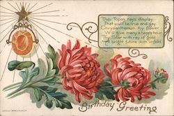 Birthday Greetin Postcard Postcard Postcard