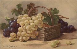 Basket of Grapes Fruit C. Klein Postcard Postcard Postcard