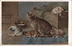 Mother Cat with Kittens in the Hay Postcard