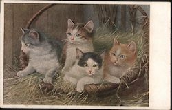 Four Kittens in a Brown Wicker Basket. Cats Postcard Postcard Postcard