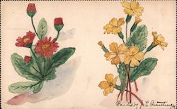Red and Yellow Flowers - Hand colored, Hand Drawn? Postcard