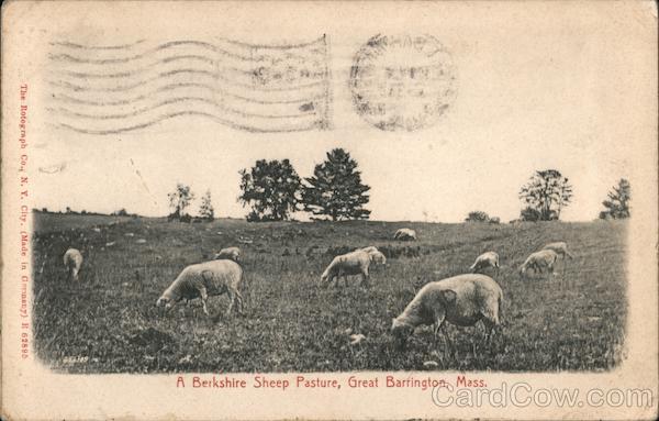 A Berkshire Sheep Pasture Great Barrington Massachusetts