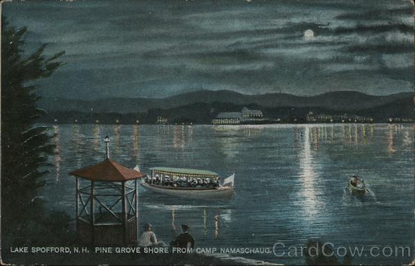 Pine Grove Shore From Camp Namaschaug Spofford Lake New Hampshire