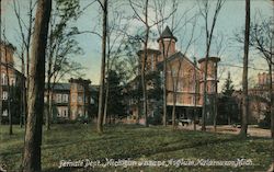 Female Dept. Michigan Insane Asylum Postcard