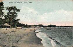 Along the Beach Cotuit, MA Postcard Postcard Postcard