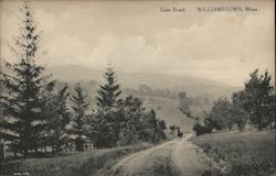 Gale Road Williamstown, MA Postcard Postcard Postcard