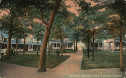 Forest Circle Postcard