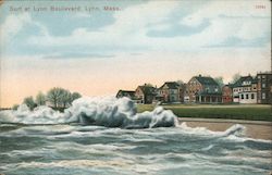 Surf at Lynn Boulevard Postcard