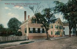 Willow Tree Taken From Napoleans Grave Postcard