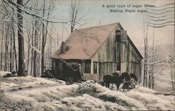 A Good Type of Sugar House Making Maple Sugar Postcard