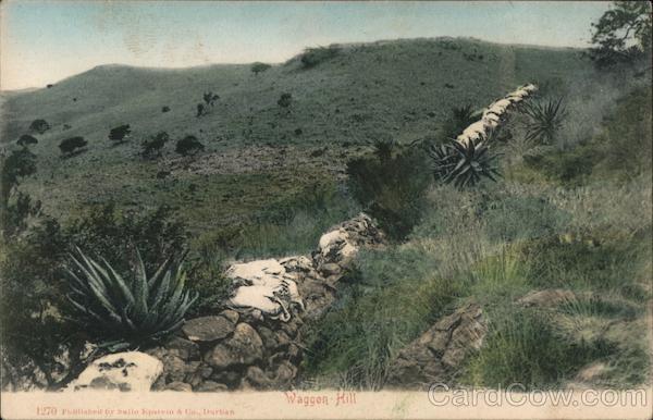 Waggon Hill South Africa