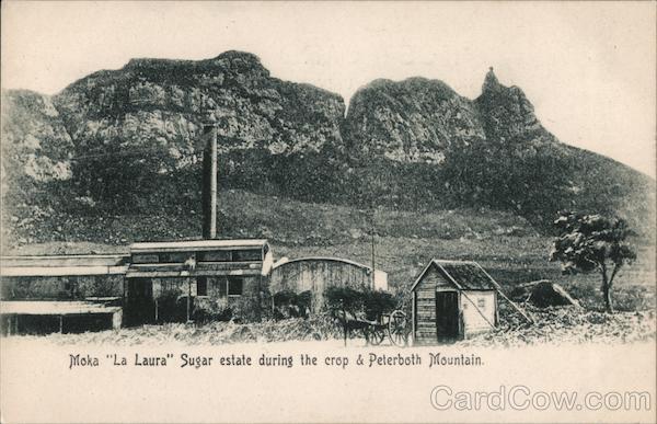 Moka District Sugar Estate During the Crop & Pieter Both Mountain La Laura-Malenga Mauritius
