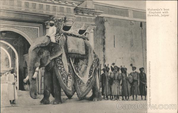 Maharaja's best Elephant with Howdah, jaipur India