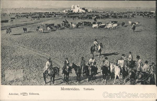 Slaughterhouse Montevideo Uruguay