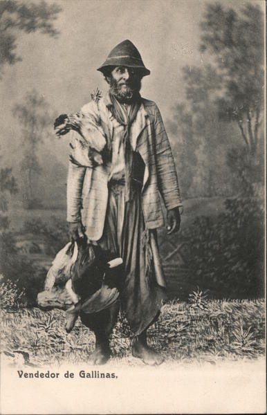 Vendedor de Gallinas Brazil