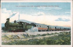 The Rhodesia Rail Co.'s Zambesi Express Saloon Train Postcard