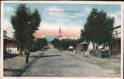 Wellington Cape Colone Postcard