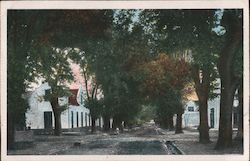 Street View, Cape Colony Postcard