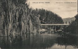 View of Dwaas River Postcard