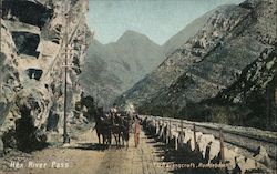Hex River Pass, Western Cape Postcard