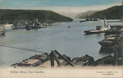 Buffalo River Postcard