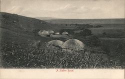A Native Kraal South Africa Postcard Postcard Postcard
