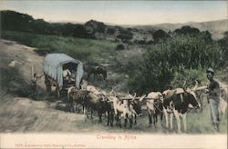 Travelling in Africa Postcard