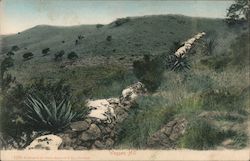 Waggon Hill Postcard