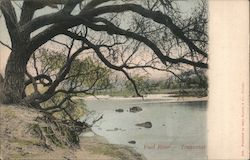 Vaal River - Transvaal Postcard