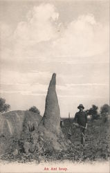 An ant heap Postcard