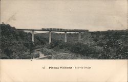15 Plames Wilhems Railway Bridge Postcard