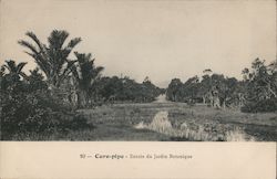 Entree du Jardin Botanique Postcard