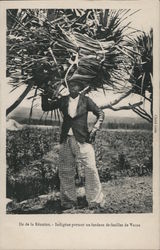 Native Carrying a Bundle of Vacoa Leaves Postcard