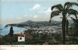 View of Funchal, Madeira Island Postcard
