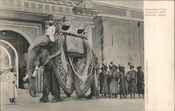 Maharaja's best Elephant with Howdah, jaipur Postcard
