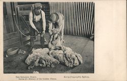 The Shearing Board Postcard