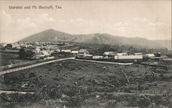 Waratah and Mt. Bischoff Postcard