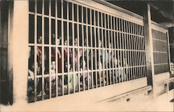 Caged Prostitutes in the Yoshiwara District Postcard