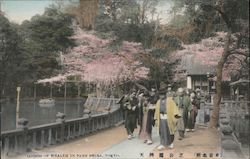Goddess of wealth in Shiba Park Postcard