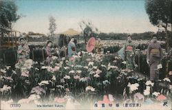 Iris Horikiri Postcard