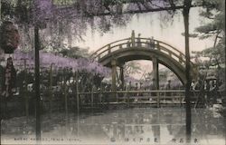 Shrine Kameido Tenjin Tokyo Postcard