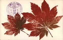 Two red leaves, "in commemoration of visit to Nikko" Postcard