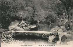 Pond in Suwa Park Postcard